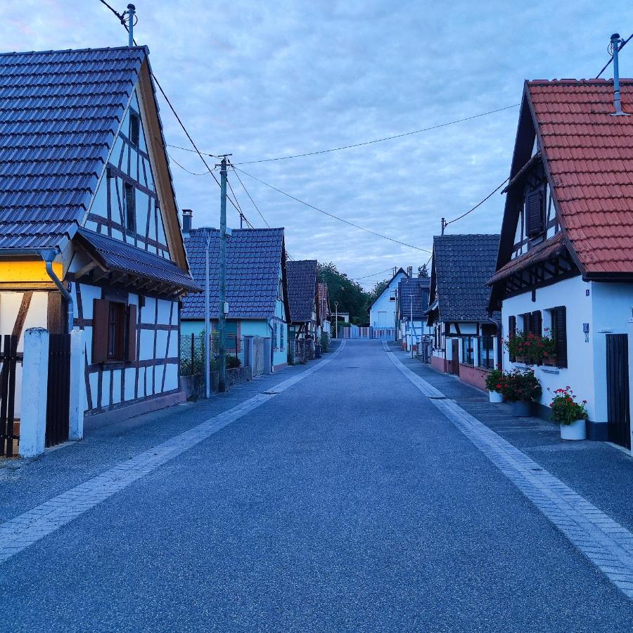 Petite Maison Alsacienne Dans Un Village Au Calme Niederroedern Dış mekan fotoğraf